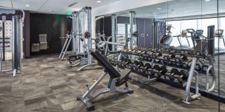 The Glenn Gallery 13