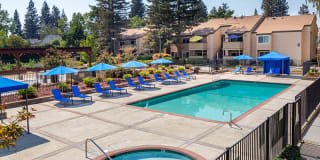 Juniper Apartments Gallery 10