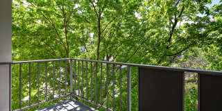 Barton House Gallery 34