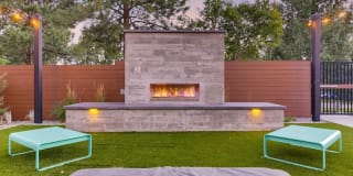 Elm at Panorama Gallery 15