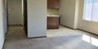 Pine Tree Flats Gallery 50