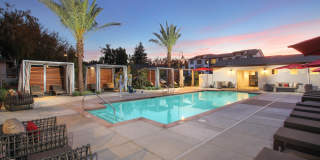 The Strand Gallery 1