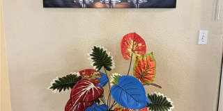 5131 LINDELL Road Gallery 16