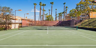 Sofi Canyon Hills Gallery 26