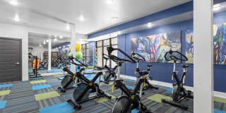 Flats at Springhurst Gallery 30