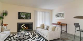 339 S. Ardmore Gallery 26