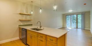 Emery Landing Gallery 14