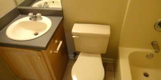 Single Family Home For Rent This August! Gallery 34