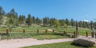 Silver Springs Gallery 14