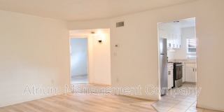 1102 Elmwood Street Gallery 8