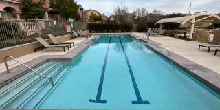 3BD/2.5BA GUARD GATED SUMMERLIN HOME! Gallery 29