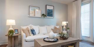 Proximity Carolina Beach Gallery 3