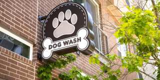 Gallery at Domain Gallery 13