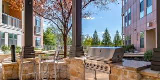 Maven at Wheaton Gallery 5