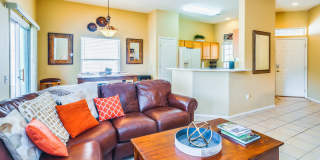 13655 North Gold Cholla Place Gallery 4