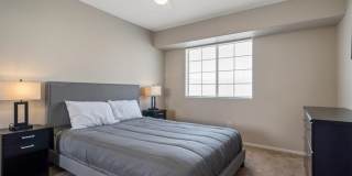 8216 Diamond Star Court Gallery 22