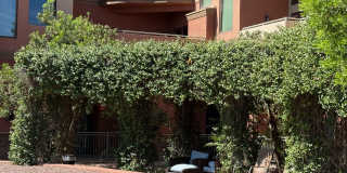 12625 N SAGUARO Boulevard Gallery 17