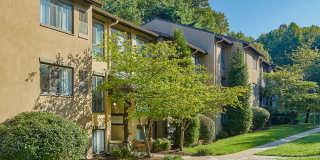 Reston Glade Gallery 23