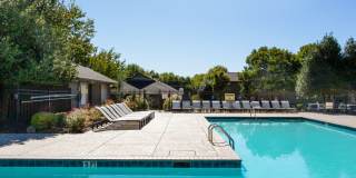 The Element at Kirkwood Apartments Gallery 13