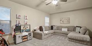 14373 Arabian Point Gallery 4