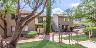 Mountain Steppes Gallery 15