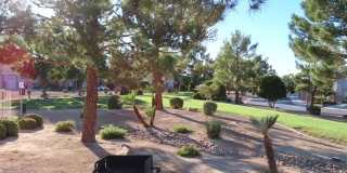1623 Cave Spring Drive Gallery 10