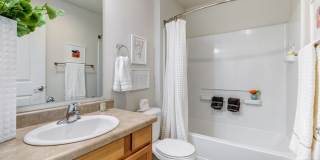 Apex Apartments Gallery 8
