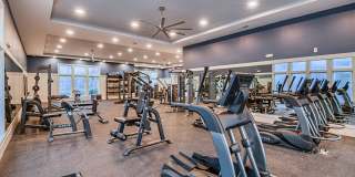 Grand Cypress Gallery 9