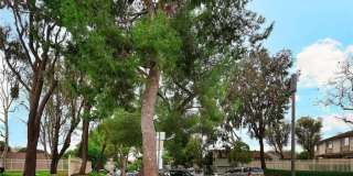 5428 E Snow Wood Circle Gallery 31