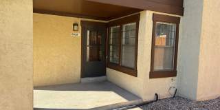 Live in the Timbers Gallery 3