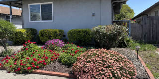 1656 150th Avenue Gallery 1