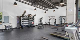 The Olive The Olive Gallery 10