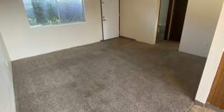 1 Bedroom 1 Bathroom at Hollywood Park Apartments Gallery 13