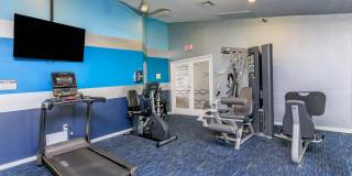 Ariel Springs Gallery 4