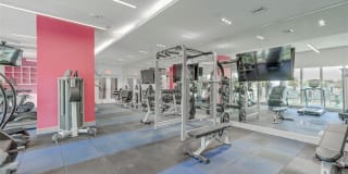 Altis Little Havana Gallery 19