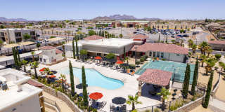 Sonoma Palms Gallery 33