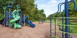 Alvista Bowie Gallery 20