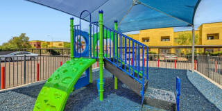 Rise at the Palms Gallery 62