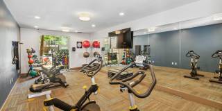 Alma on Maple Gallery 9