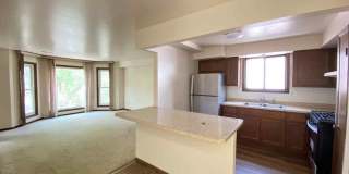 919 S Carpenter Street Gallery 4