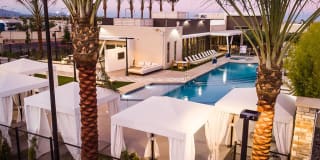 Tanager Tanager Gallery 7