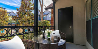 Carrara at Cole Gallery 14