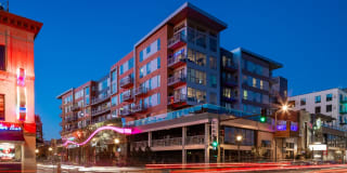 The Walkway Gallery 25