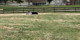 4299 Hawthorne Farms Rd Gallery 1