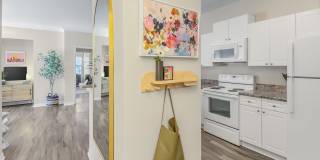 Tyvola Centre Gallery 14