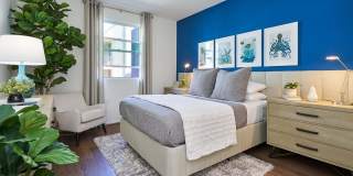 The Willows Gallery 65