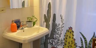Nice 1 bed in Allston Gallery 8