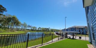 Hawthorne at Pine Forest Gallery 55