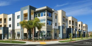 Mosaic Apartments Gallery 2