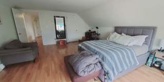 22 Cove Road Gallery 11